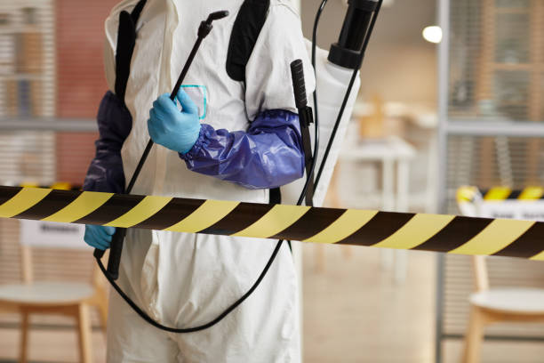 Professional Biohazard technician working in Pike, NH
